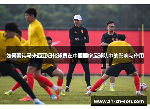 如何看待马来西亚归化球员在中国国家足球队中的影响与作用