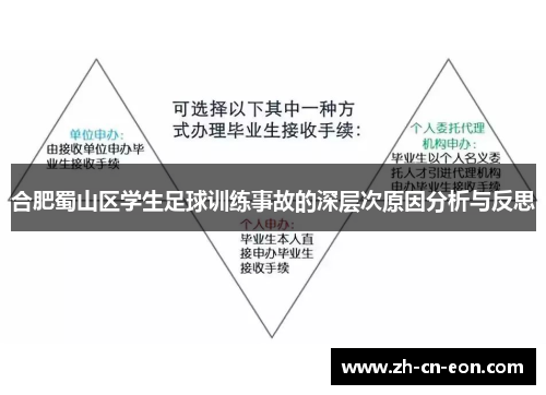 合肥蜀山区学生足球训练事故的深层次原因分析与反思