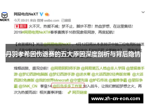 丹羽孝希因伤退赛的五大原因深度剖析与背后隐情