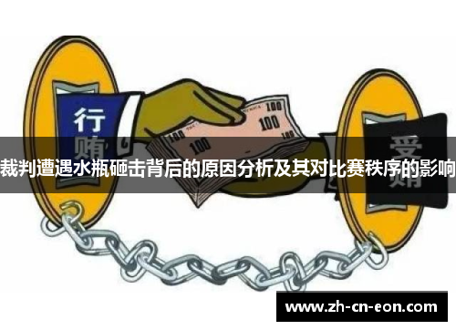 裁判遭遇水瓶砸击背后的原因分析及其对比赛秩序的影响