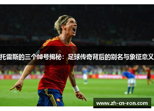 托雷斯的三个绰号揭秘：足球传奇背后的别名与象征意义